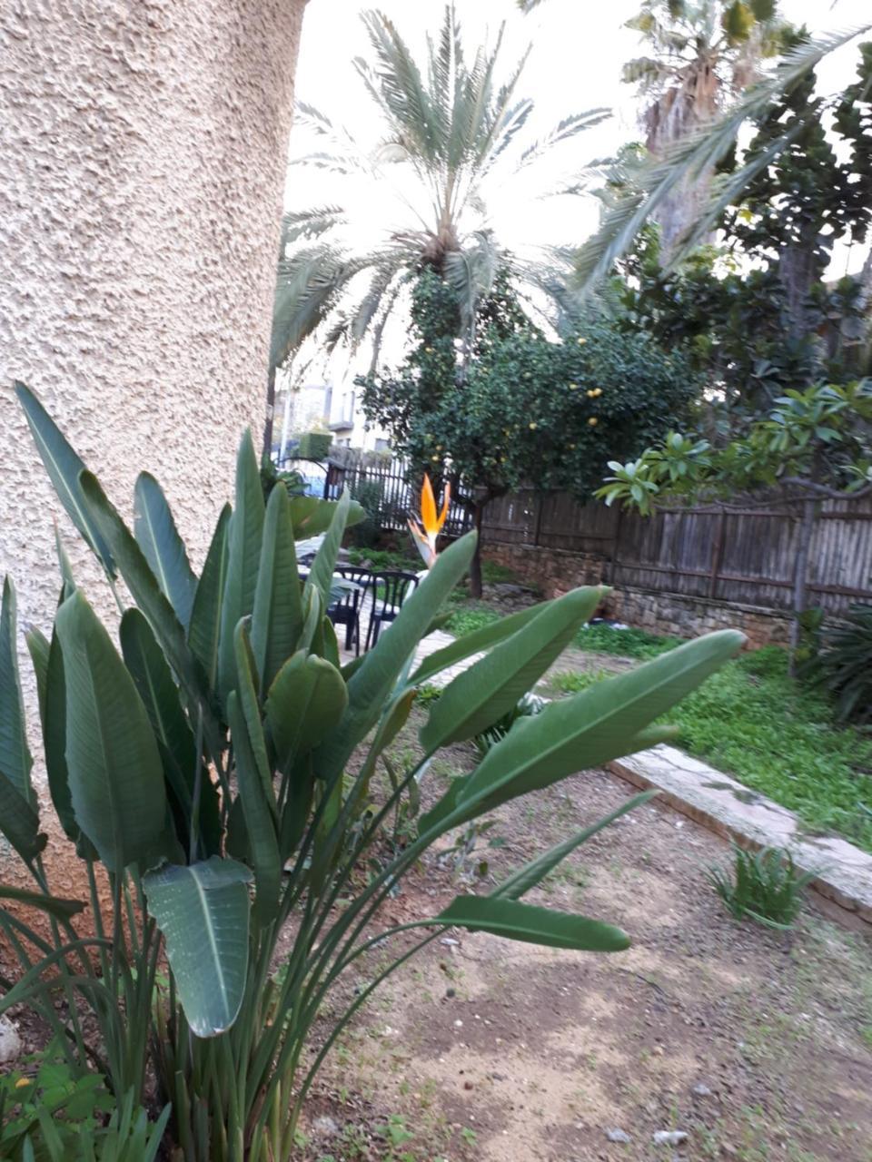 Etty'S House Hotel Petach Tikva Kültér fotó